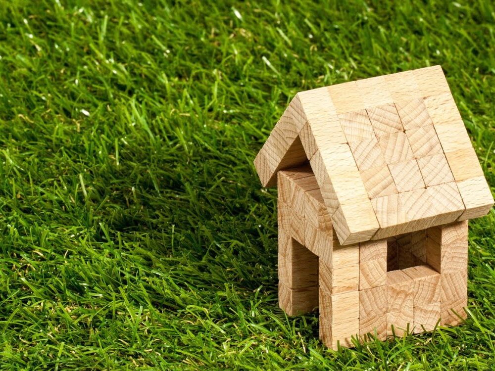 wooden house on green grass