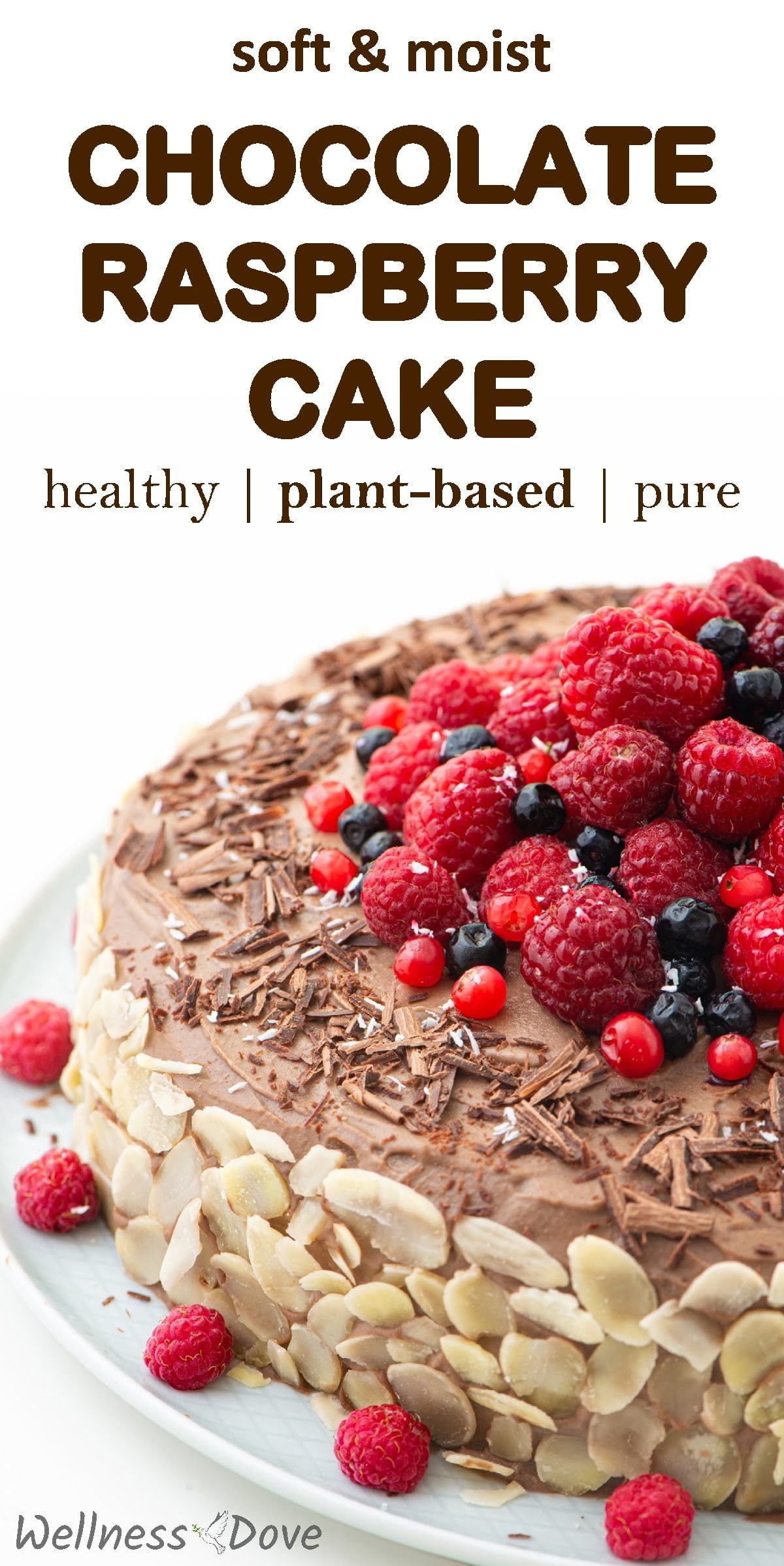 Chocolate Raspberry Cake