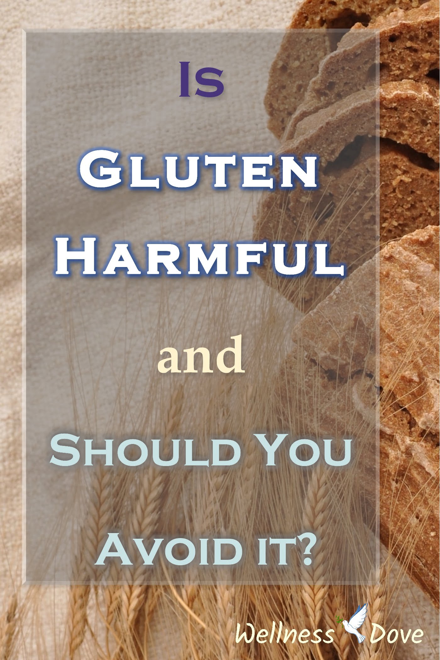 is-gluten-harmful-and-should-you-avoid-it-wellnessdove