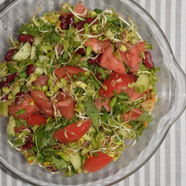 a large bowl of sunflower sprouts salad