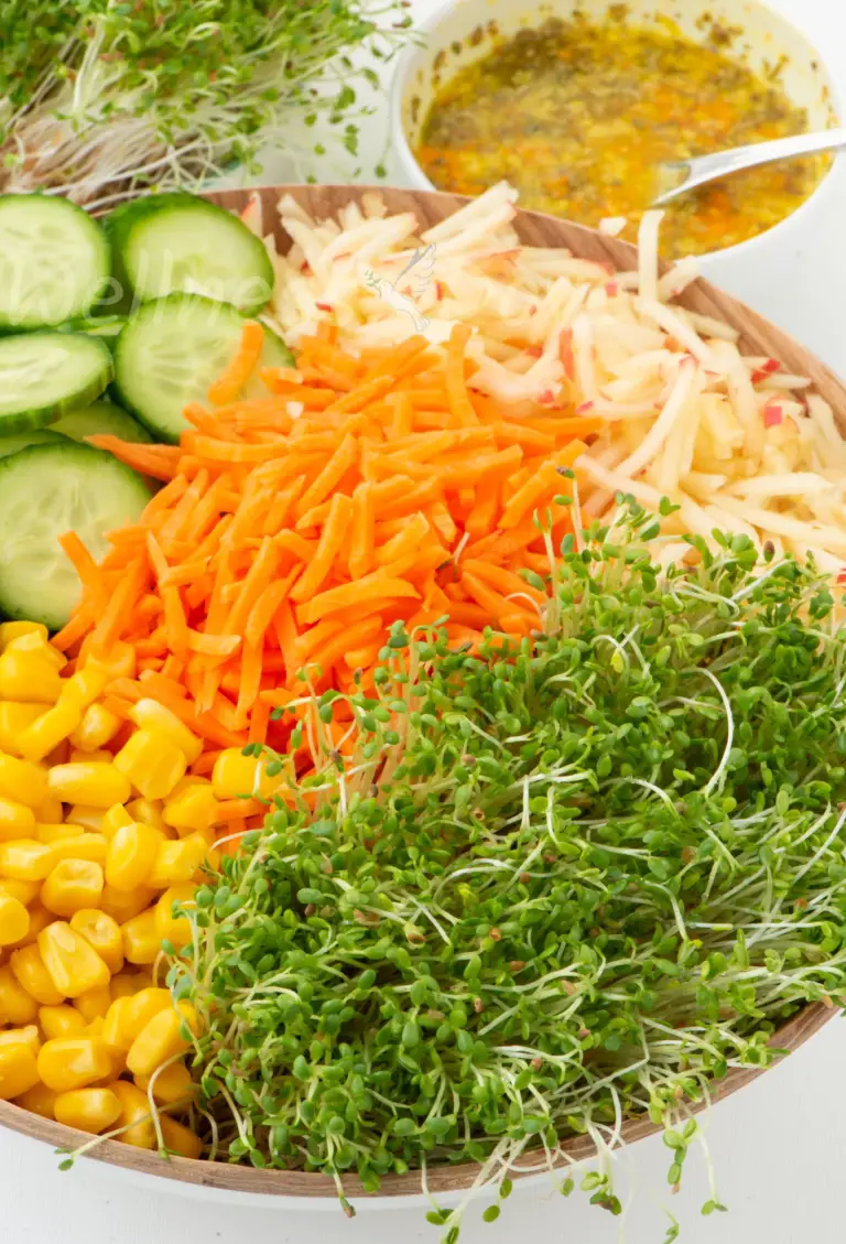 Vertical macro, alfalfa sprout salad