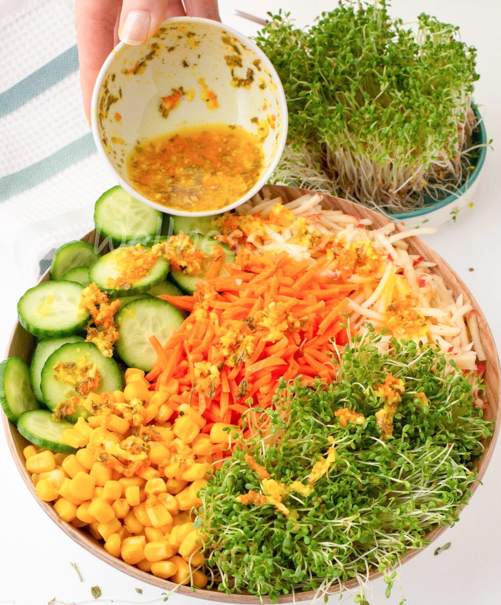 Alfalfa Sprouts Salad Wellnessdove