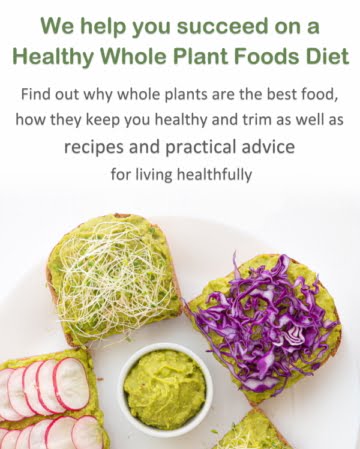 Healthy Whole Food Vegan Recipes Header