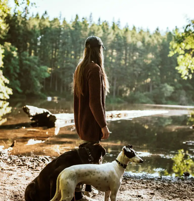 A young woman walking her 2 dogs near a lake.