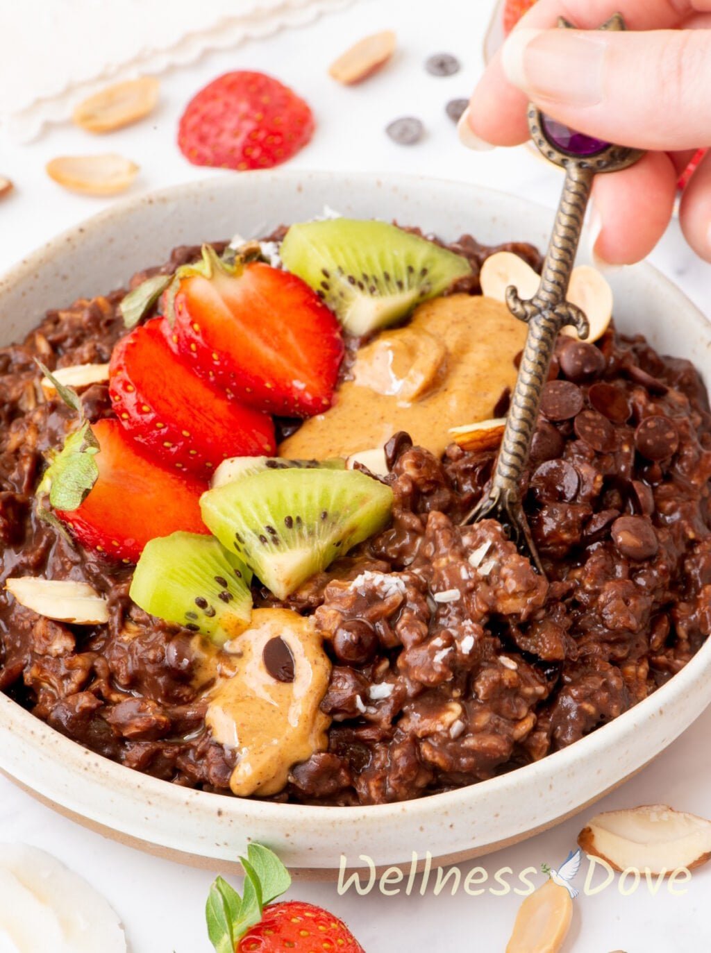 a macro shot of the chocolate vegan oatmeal , 3/4 view