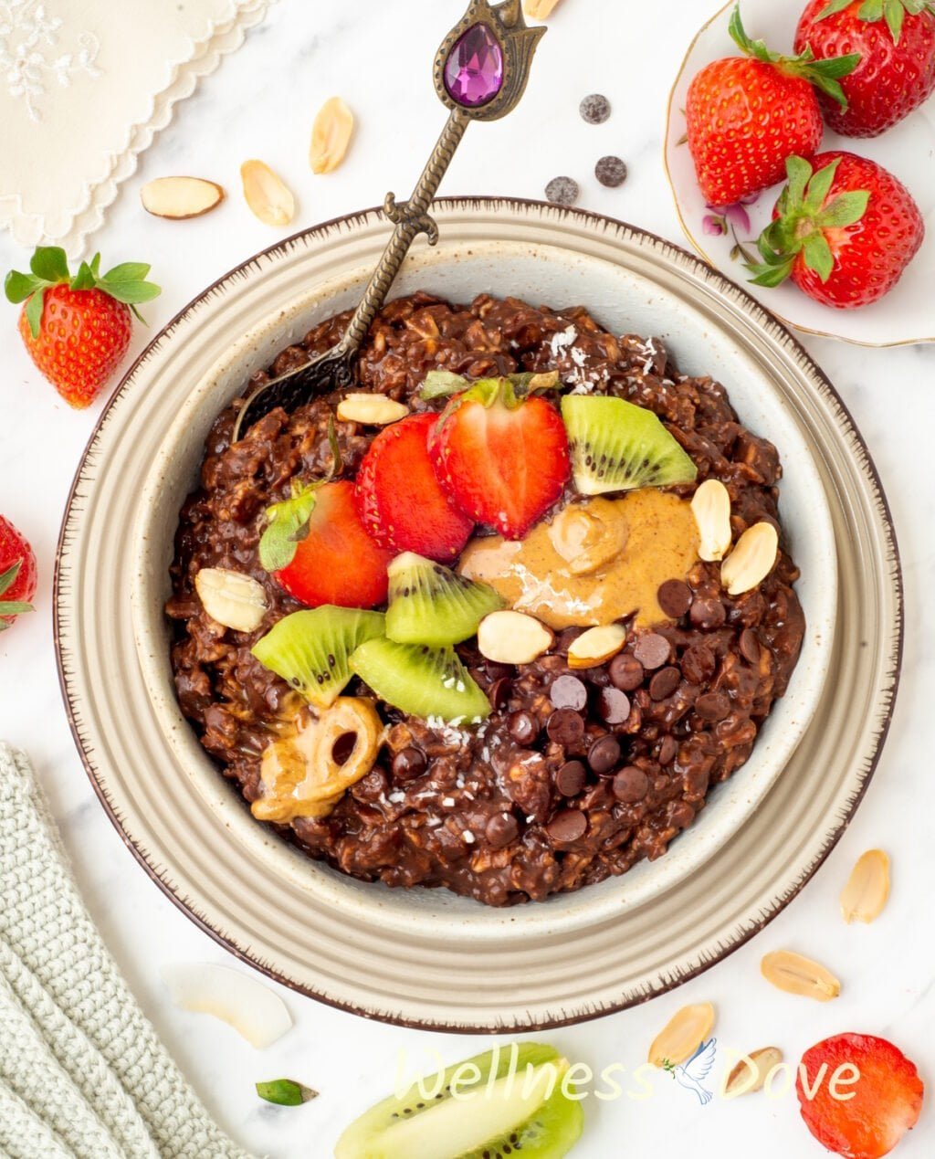 an overhead shot of the chocolate vegan oatmeal