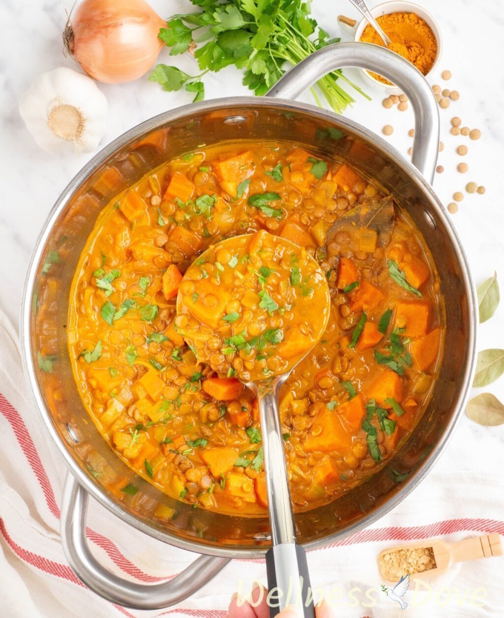 overhead view of the Wholesome Sweet Potato Lentil Vegan Curry in a large pot