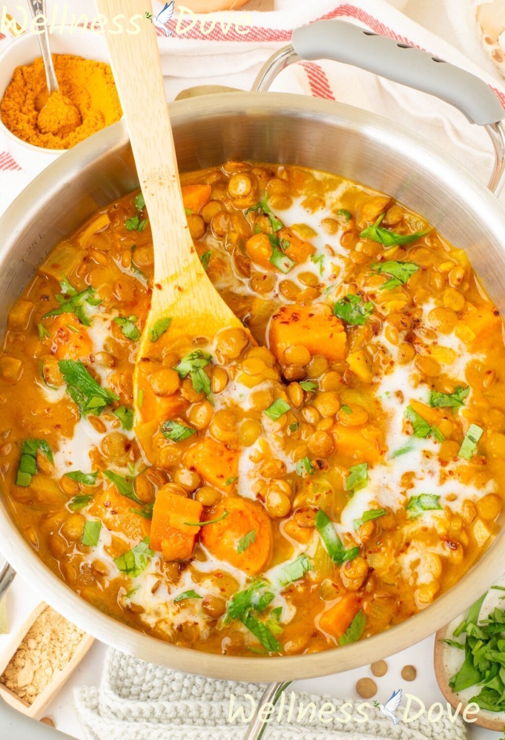the Wholesome Sweet Potato Lentil Vegan Curry in a pot, 3/4 angle
