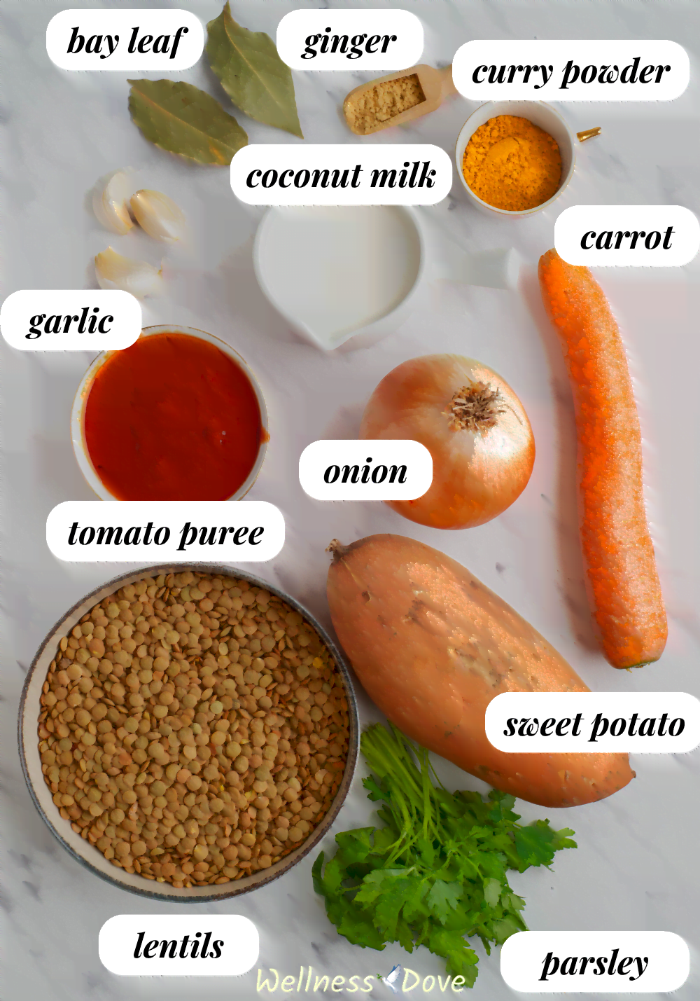 the ingredients for the Wholesome Sweet Potato Lentil Vegan Curry