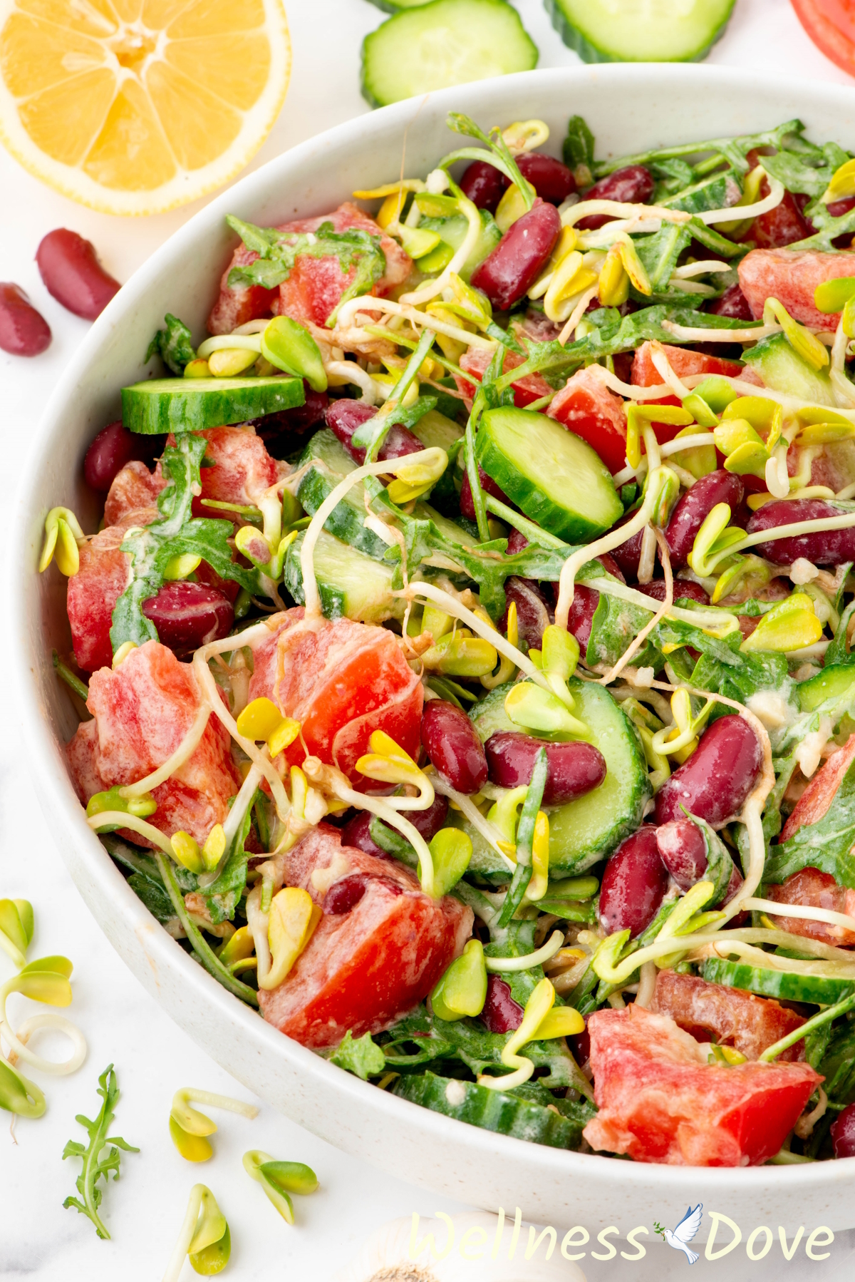 Arugula Sunflower Sprout Salad