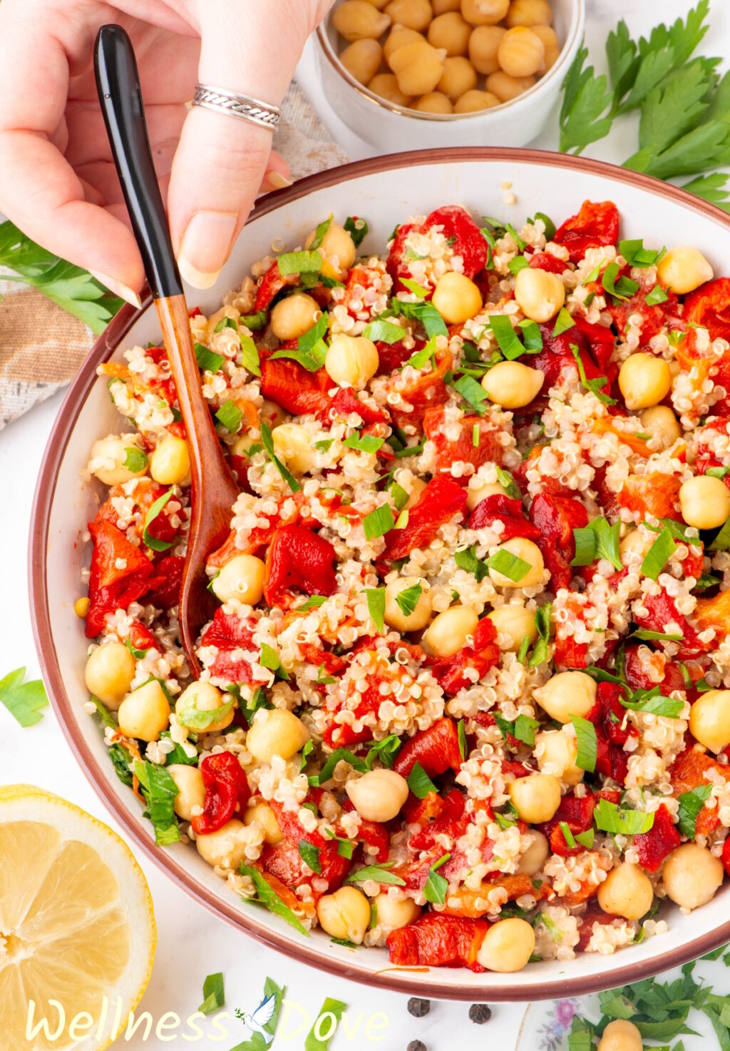 a macro photo of the Roasted Peppers Quinoa Salad with Chickpeas 