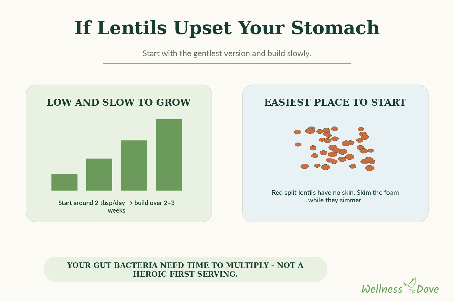 If lentils upset your stomach: easier digestion
