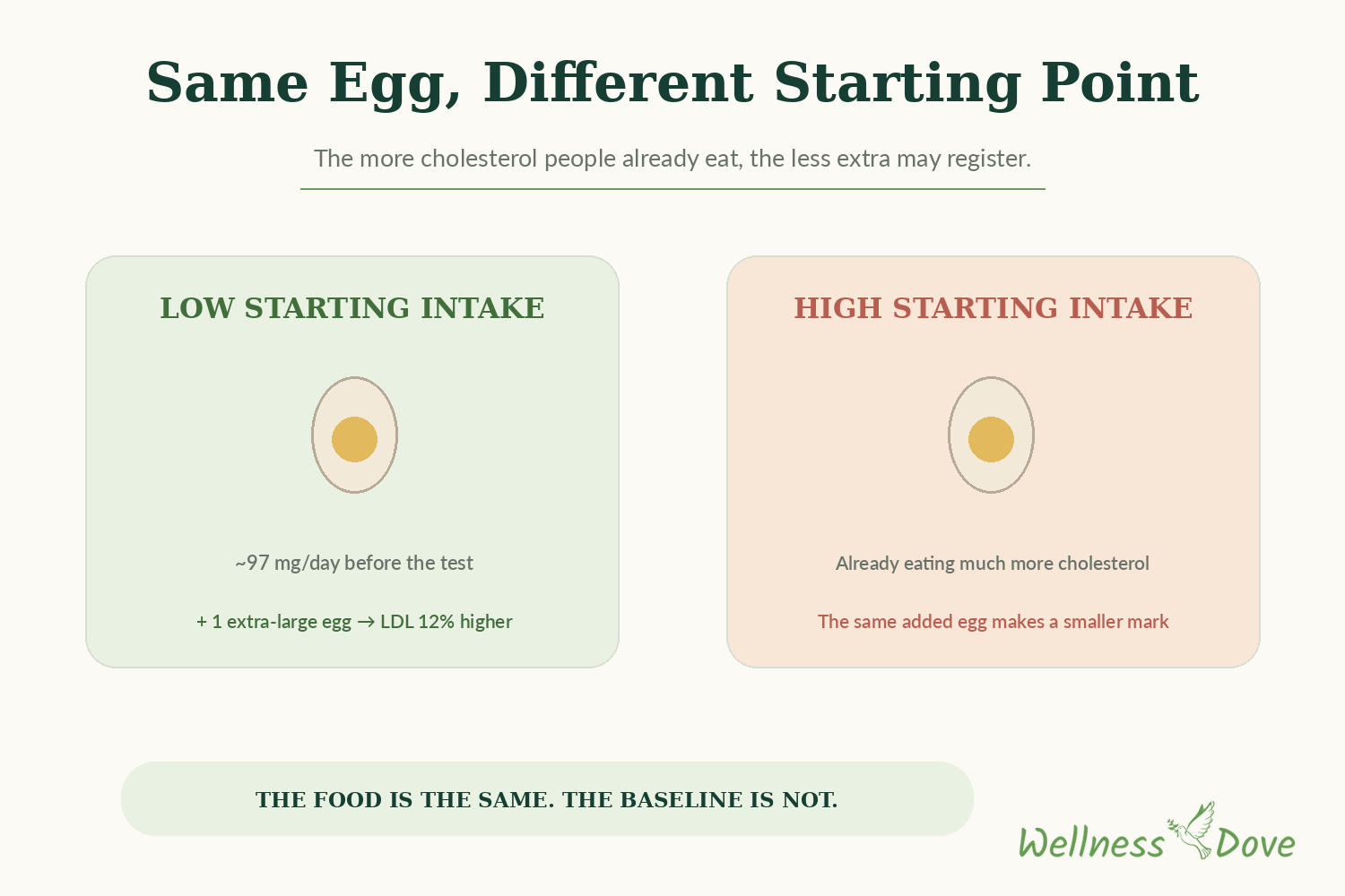 Diagram showing why the same egg raises LDL cholesterol differently depending on how much cholesterol a person already eats