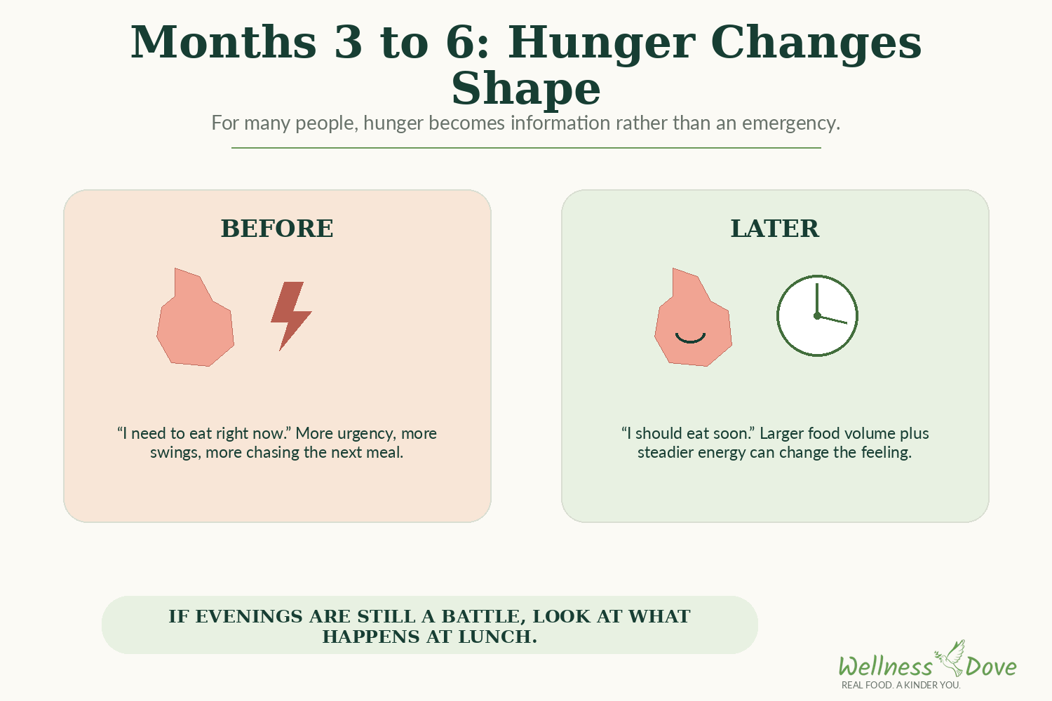 Months 3 to 6 on a plant-based diet: hunger changes shape