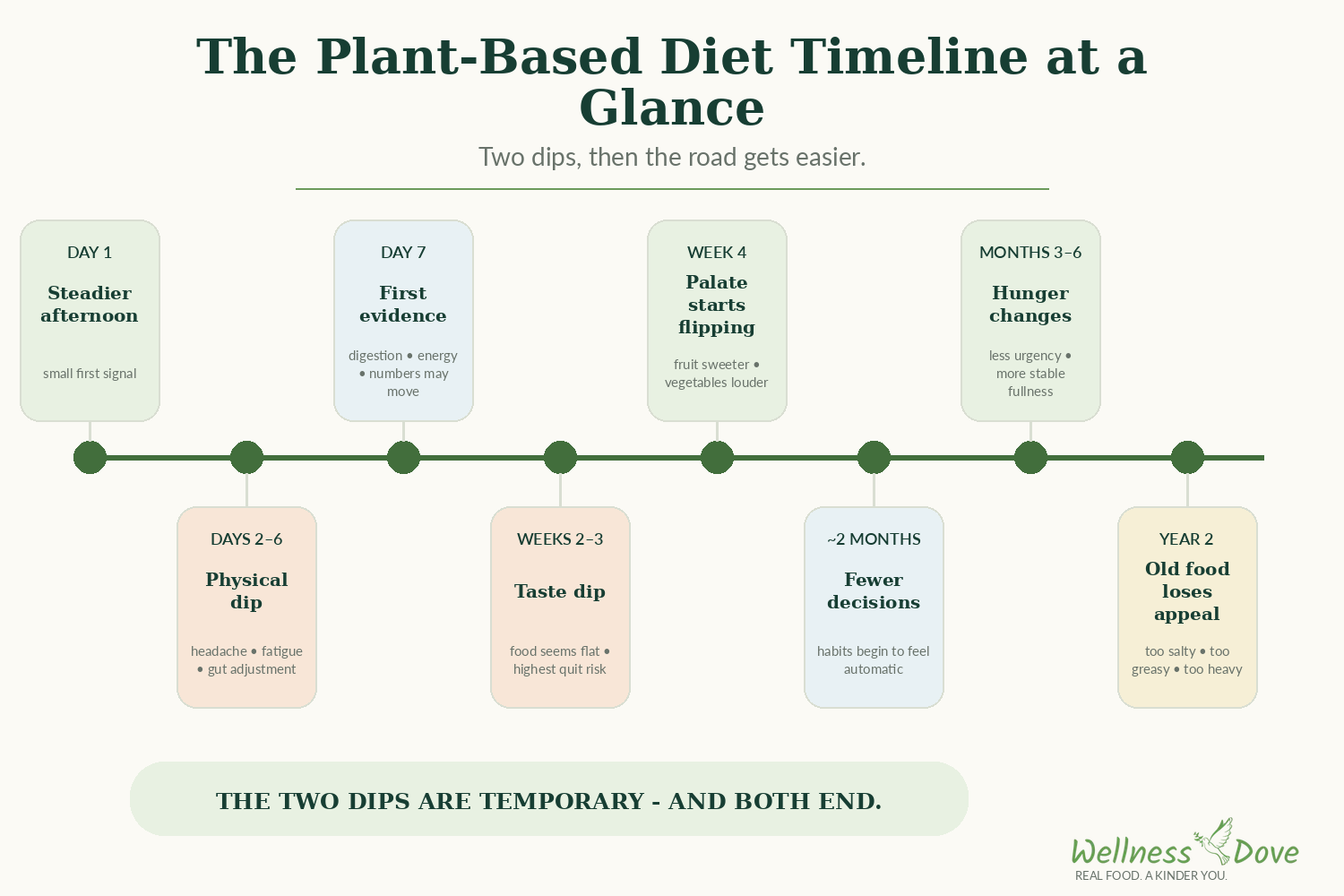The plant-based diet timeline at a glance, from day 1 to year 2