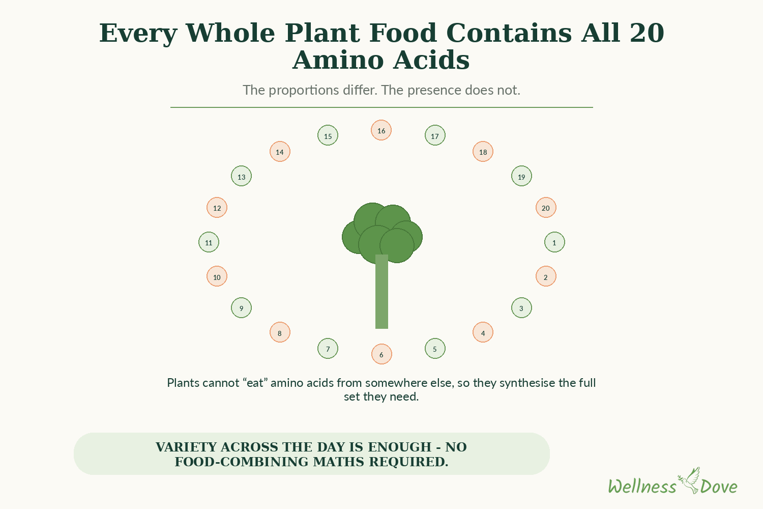 Why every plant has all the amino acids