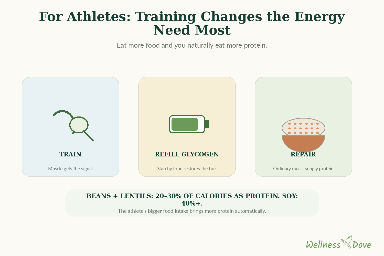 Vegan protein sources for athletes