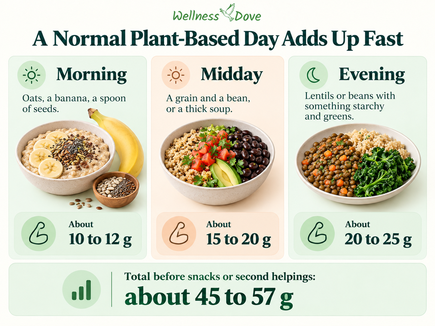 Example plant-based day providing about 45 to 57 grams of protein before snacks or second helpings