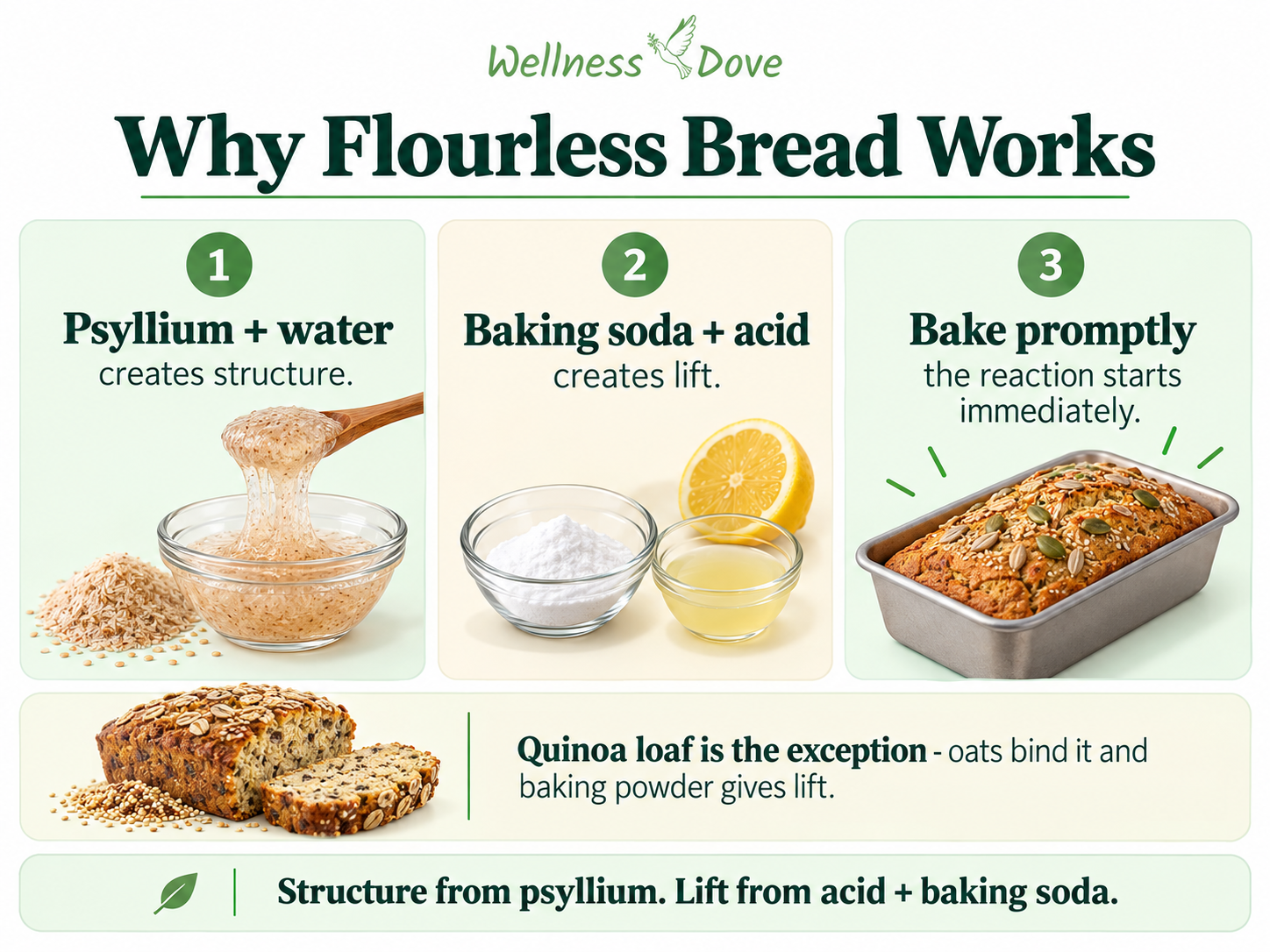 Why flourless bread works: psyllium and water create structure, baking soda plus acid creates lift, and the batter should be baked promptly
