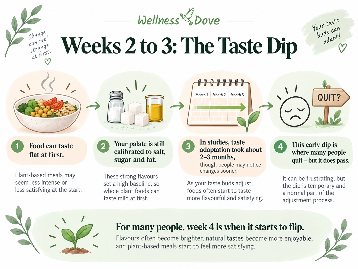 Weeks 2 to 3 of a plant-based diet: the taste dip, with adaptation studies taking about 2 to 3 months although changes may be noticed sooner