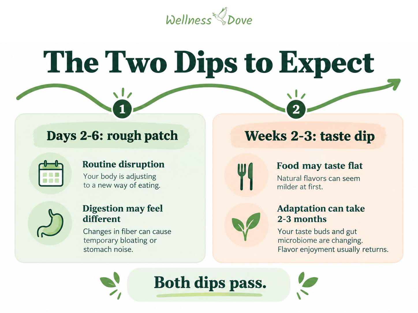 The two dips in a plant-based diet timeline: days 2 to 6 rough patch and weeks 2 to 3 taste dip