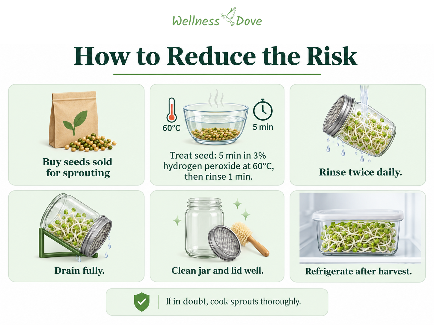 How to reduce sprout risk: use sprouting seed, treat seed, rinse and drain well, keep equipment clean, and refrigerate after harvest