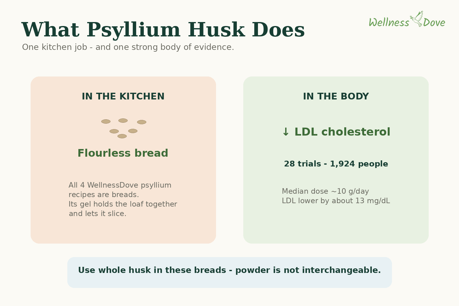 Psyllium husk in flourless bread and its LDL cholesterol evidence